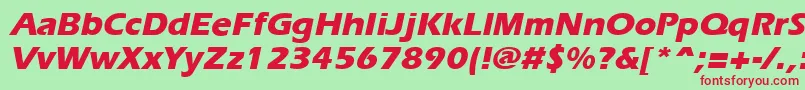 ErgoeextraboldItalic Font – Red Fonts on Green Background