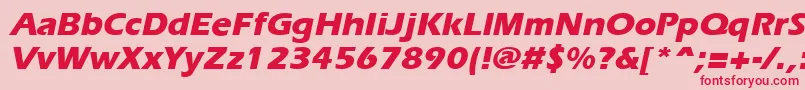 ErgoeextraboldItalic Font – Red Fonts on Pink Background