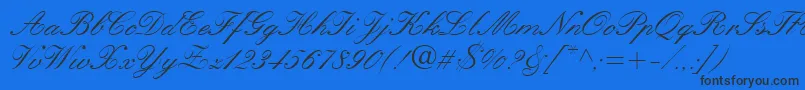 QuillScriptSsi Font – Black Fonts on Blue Background