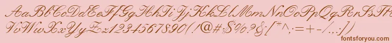 QuillScriptSsi Font – Brown Fonts on Pink Background