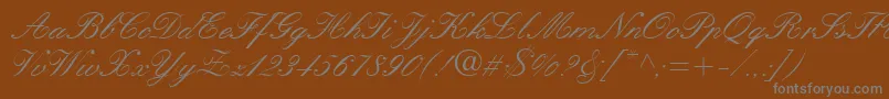 QuillScriptSsi Font – Gray Fonts on Brown Background