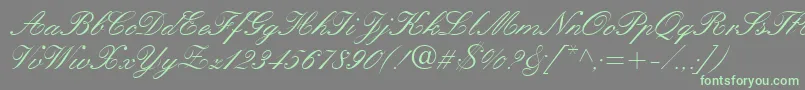 QuillScriptSsi Font – Green Fonts on Gray Background