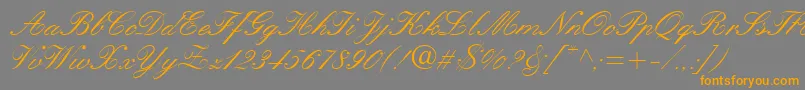 フォントQuillScriptSsi – オレンジの文字は灰色の背景にあります。