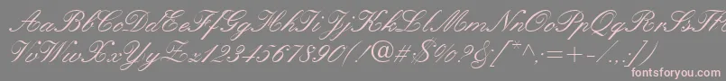 QuillScriptSsi Font – Pink Fonts on Gray Background