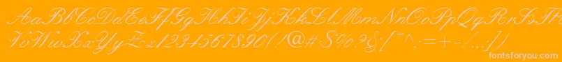 QuillScriptSsi Font – Pink Fonts on Orange Background