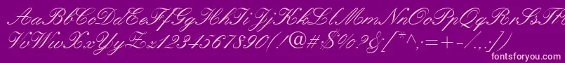 Police QuillScriptSsi – polices roses sur fond violet