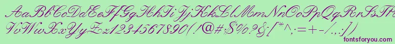 QuillScriptSsi Font – Purple Fonts on Green Background