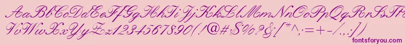 QuillScriptSsi Font – Purple Fonts on Pink Background