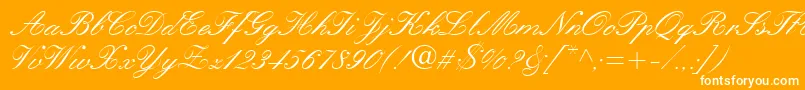 QuillScriptSsi Font – White Fonts on Orange Background