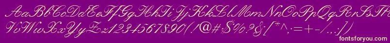 QuillScriptSsi Font – Yellow Fonts on Purple Background