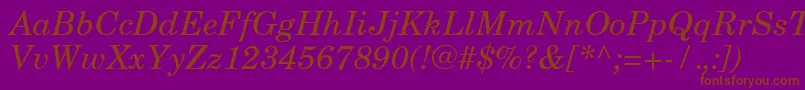 NewCenturySchoolbookCeItalic Font – Brown Fonts on Purple Background