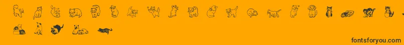 Wwkutekats Font – Black Fonts on Orange Background