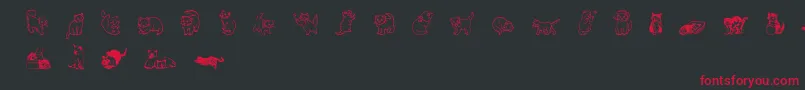 Wwkutekats Font – Red Fonts on Black Background