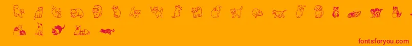 Wwkutekats Font – Red Fonts on Orange Background