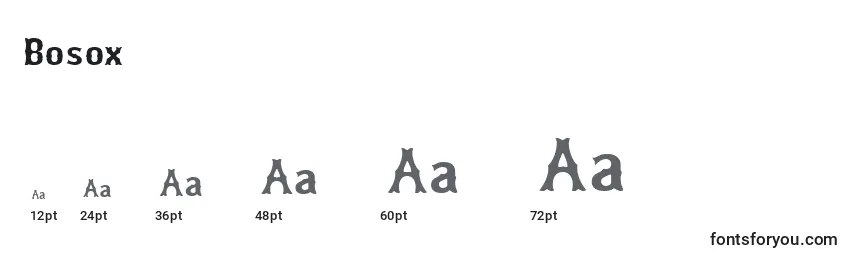 Размеры шрифта Bosox