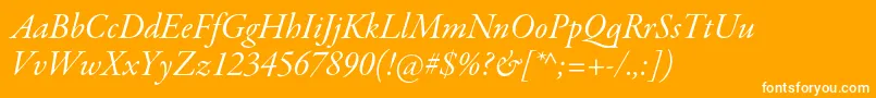 GaramondpremrproItsubh Font – White Fonts on Orange Background