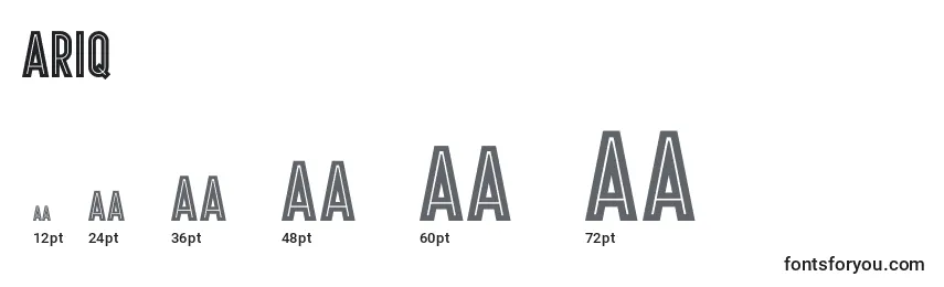 Размеры шрифта Ariq
