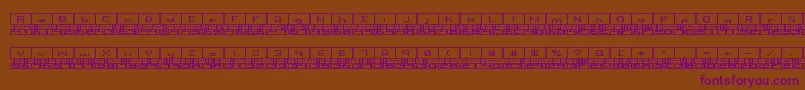 BinaryBrk Font – Purple Fonts on Brown Background