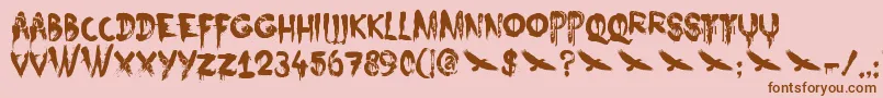 DkNightbird Font – Brown Fonts on Pink Background