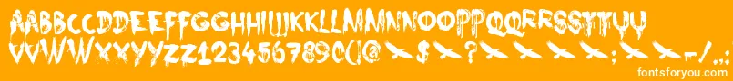 Czcionka DkNightbird – białe czcionki na pomarańczowym tle