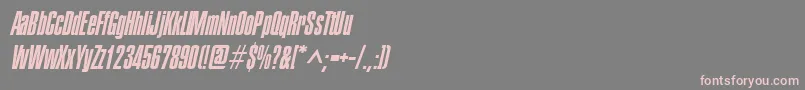 Czcionka PledgeItalic – różowe czcionki na szarym tle