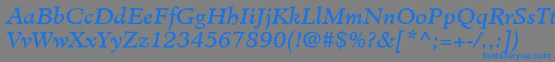 MinisterLtBookItalic Font – Blue Fonts on Gray Background