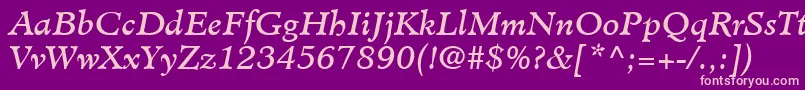 MinisterLtBookItalic Font – Pink Fonts on Purple Background