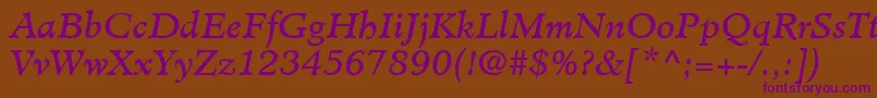 MinisterLtBookItalic Font – Purple Fonts on Brown Background