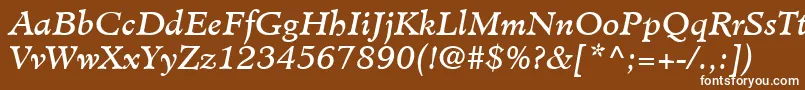 フォントMinisterLtBookItalic – 茶色の背景に白い文字