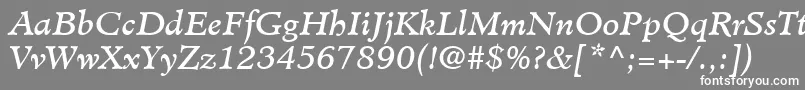 フォントMinisterLtBookItalic – 灰色の背景に白い文字