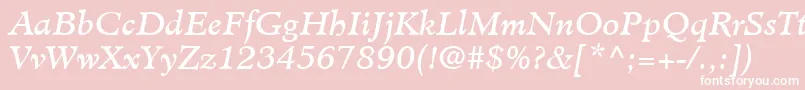 MinisterLtBookItalic Font – White Fonts on Pink Background