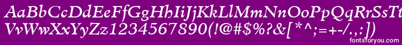 MinisterLtBookItalic Font – White Fonts on Purple Background