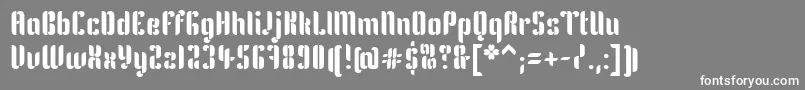 フォントKeniaRegular – 灰色の背景に白い文字