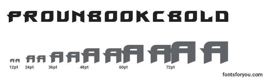 ProunbookcBold Font Sizes