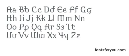 Обзор шрифта Stroganovc