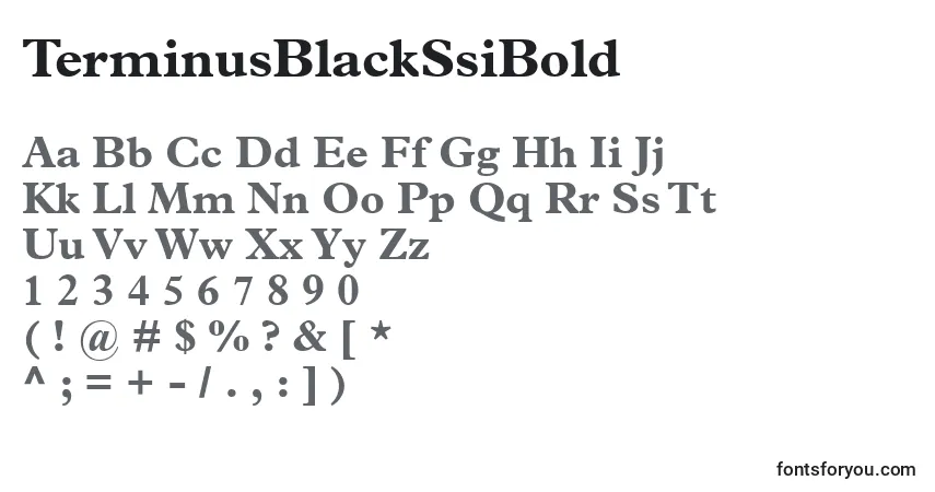 A fonte TerminusBlackSsiBold – alfabeto, números, caracteres especiais