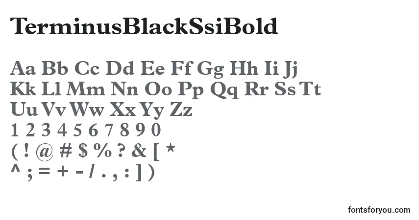 Police TerminusBlackSsiBold - Alphabet, Chiffres, Caractères Spéciaux