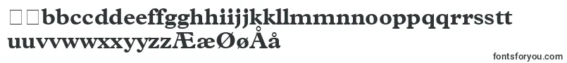 TerminusBlackSsiBold Font – Danish Fonts