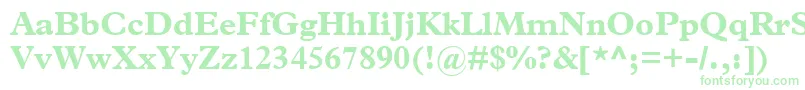 TerminusBlackSsiBold Font – Green Fonts on White Background