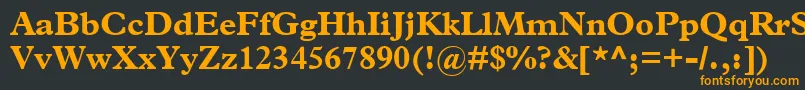 フォントTerminusBlackSsiBold – 黒い背景にオレンジの文字