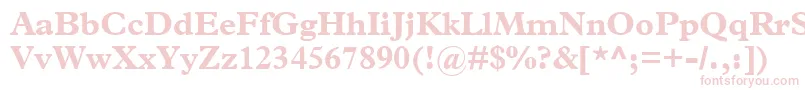 TerminusBlackSsiBold Font – Pink Fonts