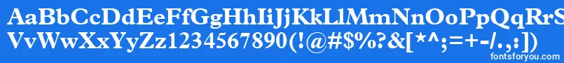 フォントTerminusBlackSsiBold – 青い背景に白い文字