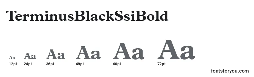 Размеры шрифта TerminusBlackSsiBold