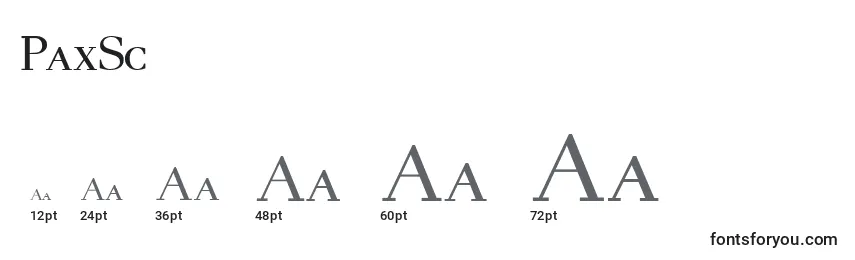Размеры шрифта PaxSc