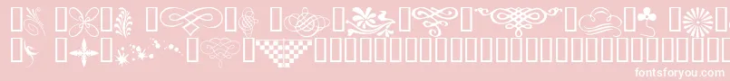 Wmdesigns1 Font – White Fonts on Pink Background