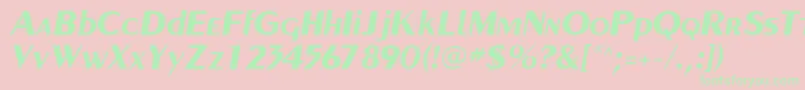 PaqueteSsiBoldItalic Font – Green Fonts on Pink Background