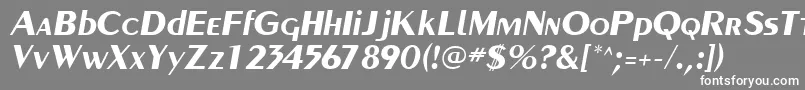 フォントPaqueteSsiBoldItalic – 灰色の背景に白い文字