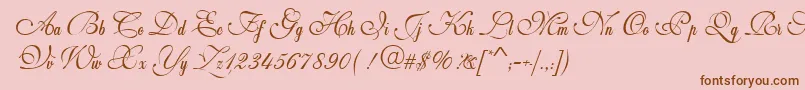 Weddingscript Font – Brown Fonts on Pink Background