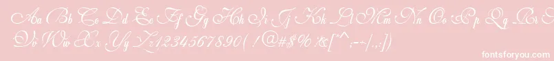 Weddingscript Font – White Fonts on Pink Background
