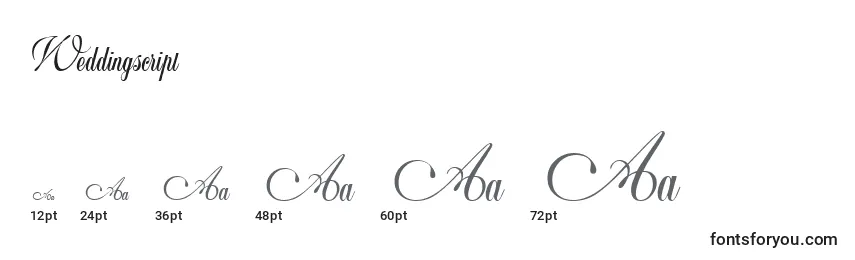 Weddingscript Font Sizes